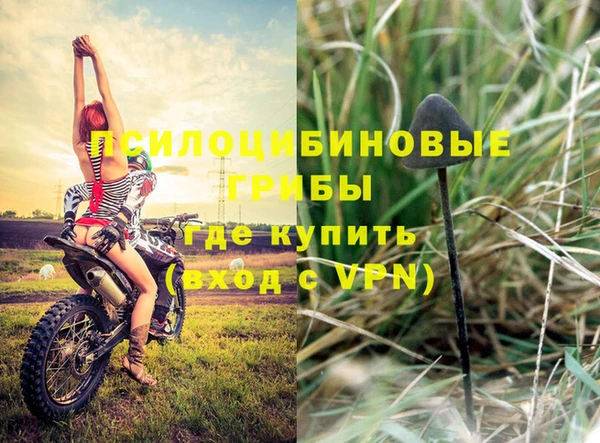 MESCALINE Алексеевка
