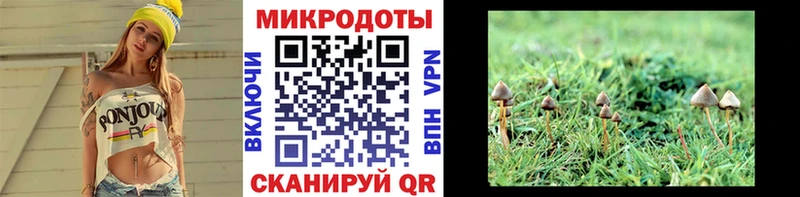 закладка  Арсеньев  Псилоцибиновые грибы ЛСД 