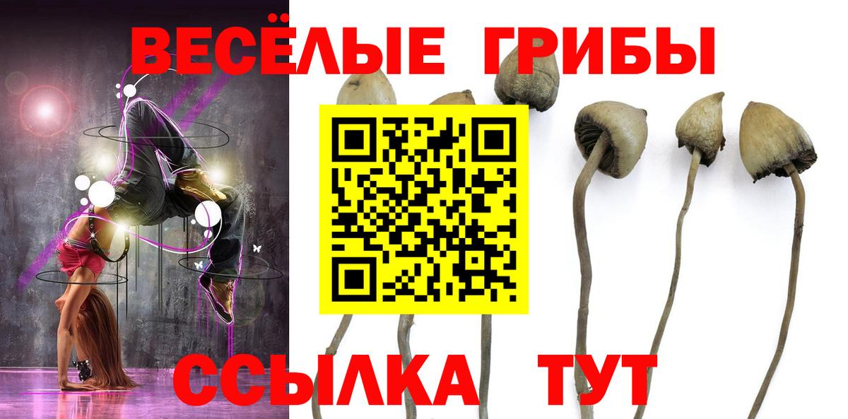 Псилоцибиновые грибы мухоморы Арсеньев